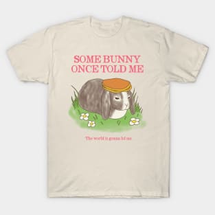 Somebunny Once Told Me T-Shirt